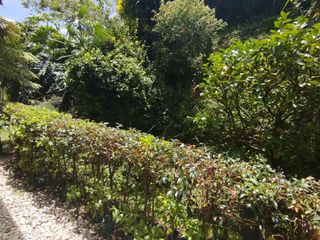 Foto 3 de ARRIENDO APARTAMENTO EL RETIRO ANTIOQUIA