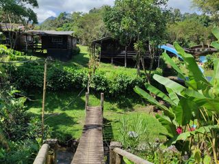 Foto 7 de ✅ RENTA DE CABAÑA DOS DORMITORIOS PARA SEIS PERSONAS CON ÁREA DE DESCANSO (MINDO-ECUADOR)