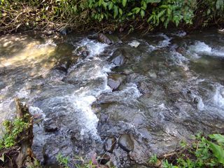 Foto 10 de ✅ RENTA DE CABAÑA DOS DORMITORIOS PARA SEIS PERSONAS CON ÁREA DE DESCANSO (MINDO-ECUADOR)