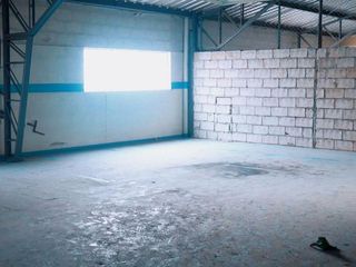 Foto 4 de Venta local comercial Agua Clara 2045 m2