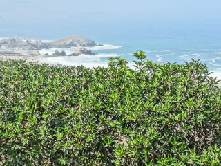 Foto 7 de TERRENO DE 512M2 - CONDOMINIO PANORÁMICO AL SUR DE LIMA – PUNTA NEGRA