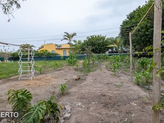 Foto 25 de CASA DE CAMPO EN VENTA, MALA, CAÑETE.