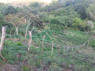 Foto 7 de EN VENTA LOTE EN PARCELACION EL PORTAL DE LA MONJA