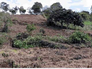 Foto 8 de EN VENTA LOTE EN PARCELACION EL PORTAL DE LA MONJA