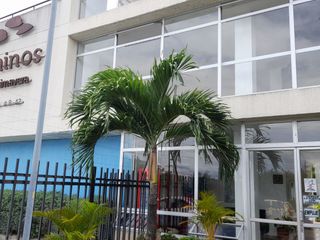 Foto 1 de APARTAMENTO EN RENTA CONJUNTO RESIDENCIAL CAMINOS DE LA PRIMAVERA PISO 8