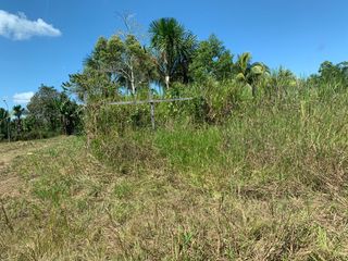Foto 4 de Oportunidad única! Fundo productivo y para de campo en Pucallpa