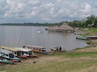 Foto 1 de Oportunidad única! Fundo productivo y para de campo en Pucallpa