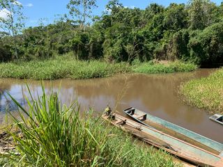 Foto 5 de Oportunidad única! Fundo productivo y para de campo en Pucallpa