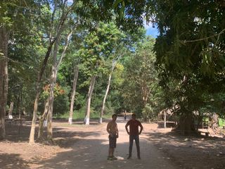 Foto 6 de Oportunidad única! Fundo productivo y para de campo en Pucallpa