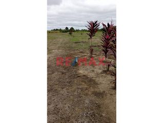 Foto 1 de Se Venden Lotes En Campo Verde- Pucallpa