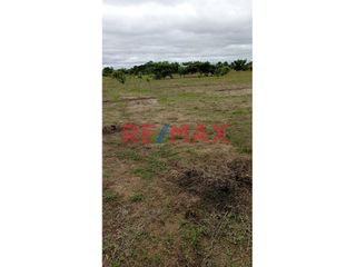 Foto 4 de Se Venden Lotes En Campo Verde- Pucallpa