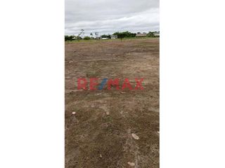 Foto 7 de Se Venden Lotes En Campo Verde- Pucallpa