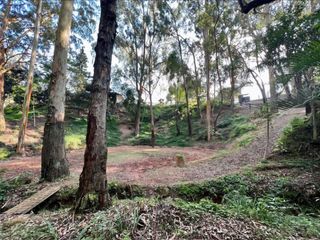 Foto 4 de VENDO FINCA EN DAPA