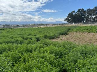 Foto 18 de Guillermo Morales Vende Terreno en Guaytacama, Latacunga