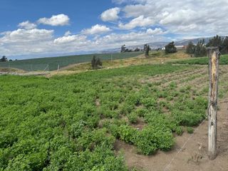 Foto 20 de Guillermo Morales Vende Terreno en Guaytacama, Latacunga