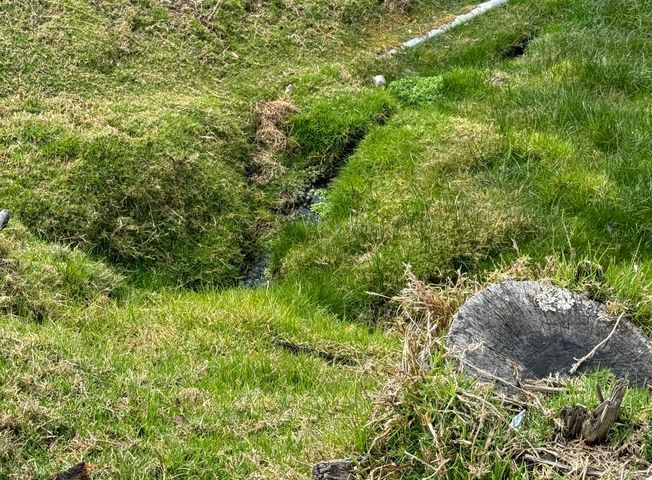 place photo 41