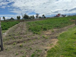 Foto 44 de Guillermo Morales Vende Terreno en Guaytacama, Latacunga