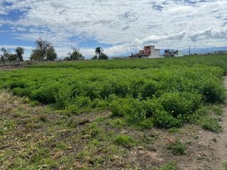 Foto 46 de Guillermo Morales Vende Terreno en Guaytacama, Latacunga