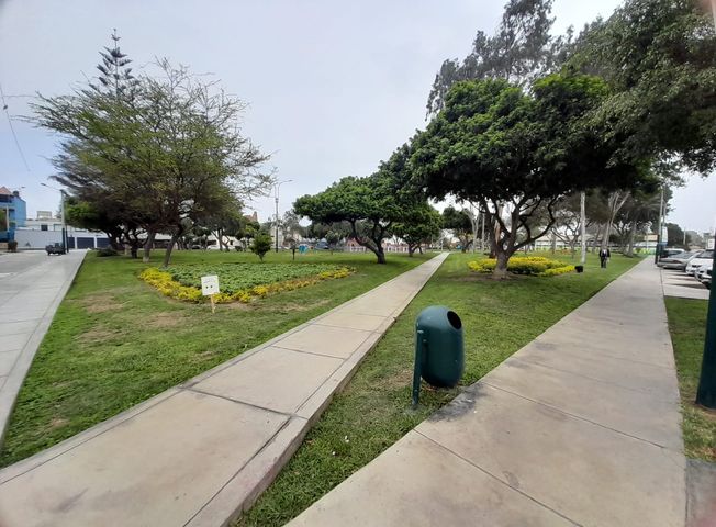 place photo 38
