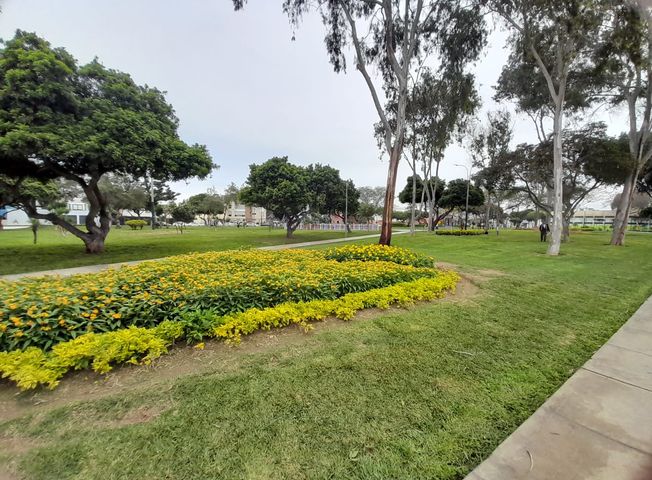 place photo 39