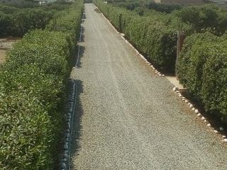 Foto 3 de Vendo Terreno De 877.235 M2 En Condominio La Romana, El Carmen