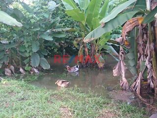 Foto 10 de Venta Terreno Iquitos 193,300 M2