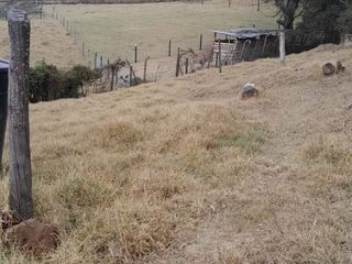Foto 1 de LOTE EXCELENTE OPORTUNIDAD
