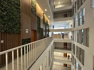 Foto 4 de Alquilo excelente oficina de 20m2 en Magdalena