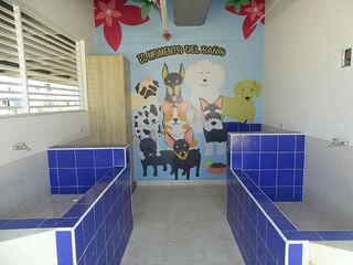 Foto 33 de Apartamento en Venta en Ricaurte- Cundinamarca