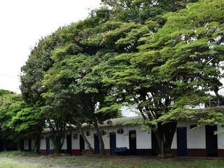 Foto 9 de LOTE EN VENTA - LA DOLORES, PALMIRA