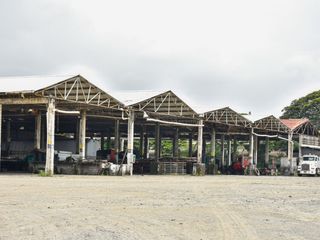 Foto 6 de LOTE EN VENTA - LA DOLORES, PALMIRA