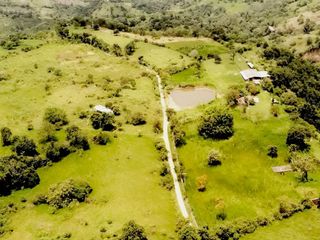 Foto 3 de HACIENDA GANADERA EN VENTA - ARBELÁEZ, CUNDINAMARCA