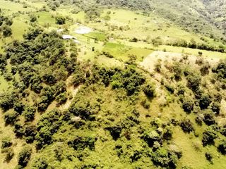 Foto 5 de HACIENDA GANADERA EN VENTA - ARBELÁEZ, CUNDINAMARCA