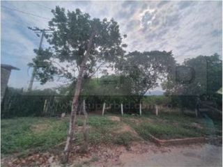 Foto 19 de TERRENOS BOCATOCINO: MORRO DE ZAMBA, BOCA LA BARRA Y LA LUCHA DE 620000 M2 UBIC.: JUAN DE ACOSTA - ATLÁNTICO
