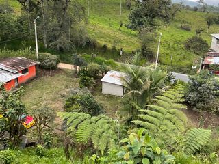 Foto 1 de VENDO AMPLIO LOTE DE TERRENO EN SAN MIGUEL DE LOS BANCOS