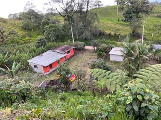 Foto 5 de VENDO AMPLIO LOTE DE TERRENO EN SAN MIGUEL DE LOS BANCOS