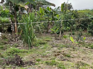 Foto 6 de VENDO AMPLIO LOTE DE TERRENO EN SAN MIGUEL DE LOS BANCOS