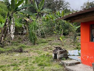 Foto 7 de VENDO AMPLIO LOTE DE TERRENO EN SAN MIGUEL DE LOS BANCOS