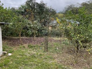 Foto 8 de VENDO AMPLIO LOTE DE TERRENO EN SAN MIGUEL DE LOS BANCOS