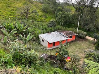 Foto 9 de VENDO AMPLIO LOTE DE TERRENO EN SAN MIGUEL DE LOS BANCOS
