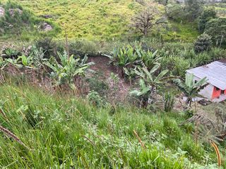 Foto 12 de VENDO AMPLIO LOTE DE TERRENO EN SAN MIGUEL DE LOS BANCOS
