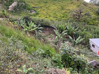 Foto 15 de VENDO AMPLIO LOTE DE TERRENO EN SAN MIGUEL DE LOS BANCOS