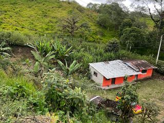 Foto 16 de VENDO AMPLIO LOTE DE TERRENO EN SAN MIGUEL DE LOS BANCOS