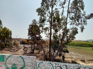 Foto 7 de VENTA DE TERRENO - PISCO