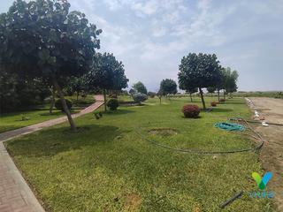 Foto 5 de Amplio Terreno en Venta en El Carmen, Chincha