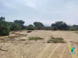 Foto 9 de Amplio Terreno en Venta en El Carmen, Chincha