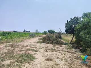 Foto 10 de Amplio Terreno en Venta en El Carmen, Chincha