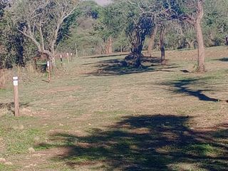 Foto 8 de Loteo 