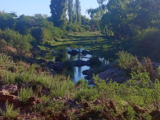Foto 9 de Loteo 