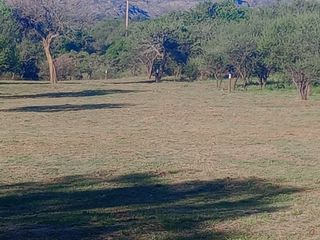 Foto 11 de Loteo 
